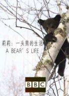 BBC：莉莉 一頭熊的生活劇情介紹(1-1全集)