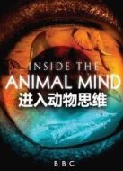 BBC：進入動物的思維劇情介紹(1-3全集)