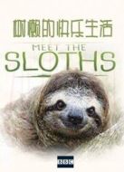 BBC：樹(shù)懶的快樂(lè)生活劇情介紹(1-1全集)