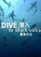 BBC：潛入鯊魚(yú)火山劇情介紹(1-1全集)