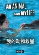 BBC：我的動物救星海報