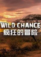BBC：瘋狂的冒險(xiǎn)劇情介紹(1-3全集)