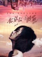 北京女子圖鑒劇情介紹(1-20全集)