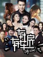 有房有車第二季劇情介紹(1-13全集)