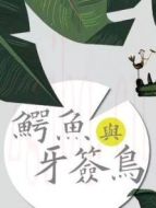 鱷魚與牙簽鳥DVD版劇情介紹(1-50全集)