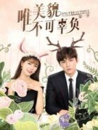 唯美貌不可辜負(fù)第一季劇情介紹(1-12全集)