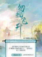 勿擾飛升海報(bào)
