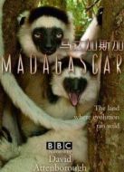 BBC：馬達(dá)加斯加劇情介紹(1-3全集)