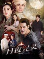 夜晚劇情介紹(1-0全集)