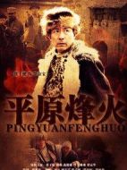 平原烽火劇情介紹(1-40全集)