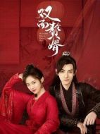 雙面贅婿劇情介紹(1-24全集)
