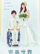 完美世界海報(bào)