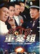 8.13重案組劇情介紹(1-20全集)