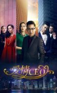 愛情CEO劇情介紹(1-14全集)