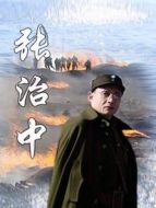 張治中劇情介紹(1-8全集)