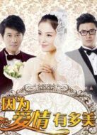 因為愛情有多美（未刪減版）劇情介紹(1-80全集)