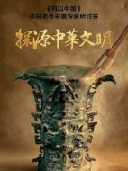 何以中國劇情介紹(1-8全集)