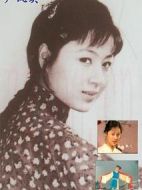 嚴(yán)鳳英劇情介紹(1-15全集)