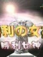 勝利的女神劇情介紹(1-11全集)