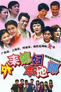 外來媳婦本地郎劇情介紹(1-86全集)