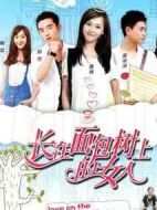 長(zhǎng)在面包樹上的女人劇情介紹(1-38全集)