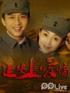 延安愛情央視版DVD海報