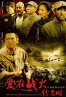 愛在戰(zhàn)火紛飛時劇情介紹(1-33全集)