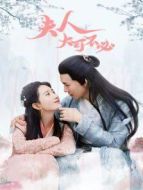 夫人，大可不必劇情介紹(1-12全集)