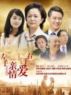左手親情右手愛劇情介紹(1-35全集)