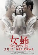 女曦之人魚有淚劇情介紹(1-5全集)
