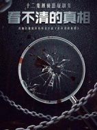 看不清的真相劇情介紹(1-12全集)
