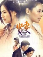 賢妻劇情介紹(1-35全集)