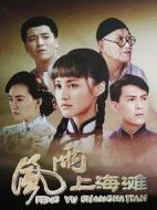 風(fēng)雨上海灘劇情介紹(1-30全集)