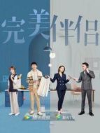 完美伴侶[DVD版]劇情介紹(1-40全集)