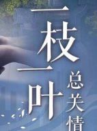 一枝一葉總關(guān)情劇情介紹(1-30全集)