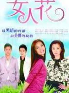 女人花劇情介紹(1-22全集)