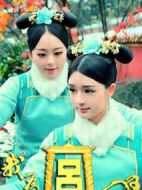 我為宮狂劇情介紹(1-9全集)