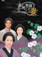 華岡青洲之妻電視版海報