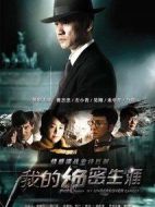 我的絕密生涯劇情介紹(1-38全集)