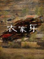 農(nóng)家樂(lè)劇情介紹(1-120全集)