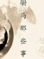 駙馬那些事海報(bào)