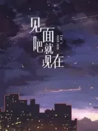 見面吧就現(xiàn)在劇情介紹(1-20全集)