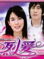 烈愛(ài)劇情介紹(1-25全集)