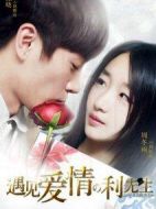 遇見(jiàn)愛(ài)情的利先生劇情介紹(1-41全集)