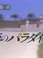 求愛姐妹花劇情介紹(1-12全集)
