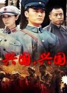 興國，興國劇情介紹(1-29全集)