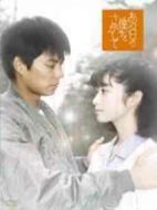 尋找那天的我劇情介紹(1-11全集)
