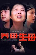 真情無限之養(yǎng)母生母劇情介紹(1-25全集)
