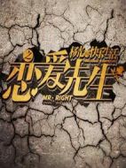 楊光的快樂生活之戀愛先生海報