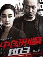 中國(guó)刑警803英雄本色劇情介紹(1-45全集)